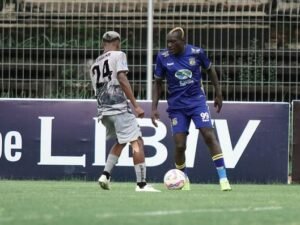 persiba