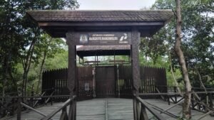 Hutan mangrove