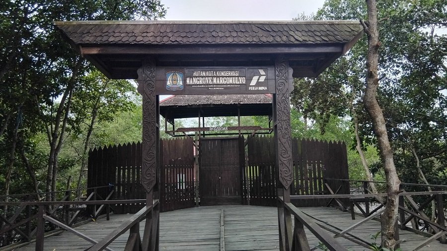 Hutan mangrove