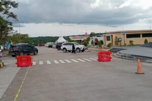 Pemudik Balsam