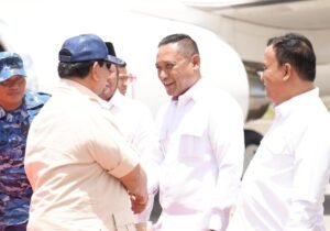Wagub Seno
