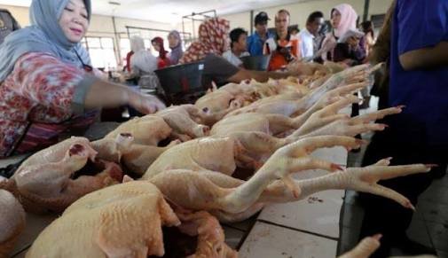 Penjual daging ayam di Pasar Tradisional (Foto ; Smartrt.news)