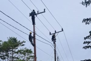 Petugas PLN tengah memperbaiki jaringan listrik (Sumber : PLN)