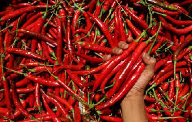 Harga cabe merah besar yang melonjak tajam, Rabu 4 Juni 2025 (Foto : Info Publik)