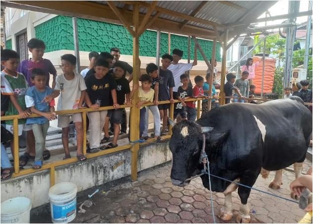 sapi Prabowo