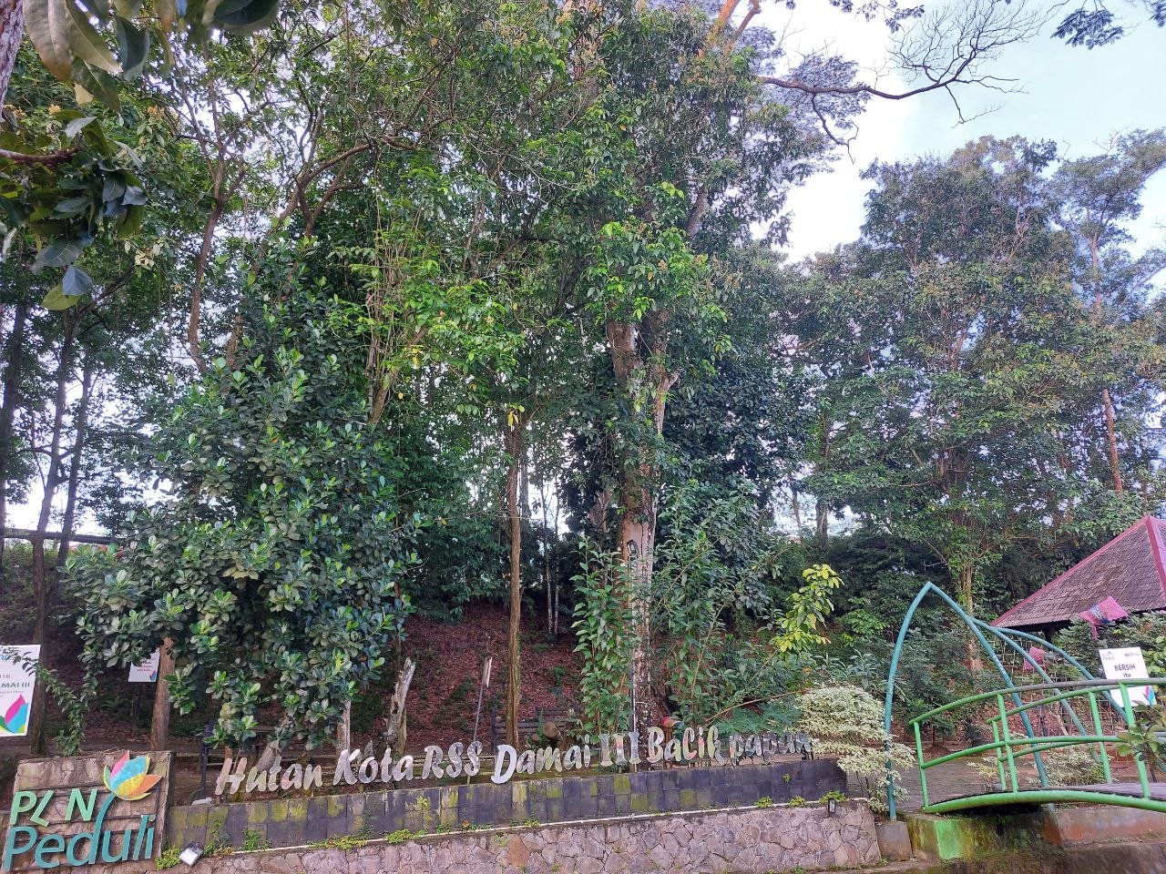 Hutan Kota Kawasan RSS Damai III Balikpapan (foto : Wikimedia Commons)