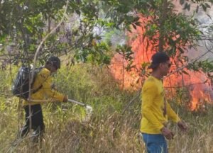 Kebakaran hutan dan lahan (kahutla) (foto : Diskominfo Kalsel)