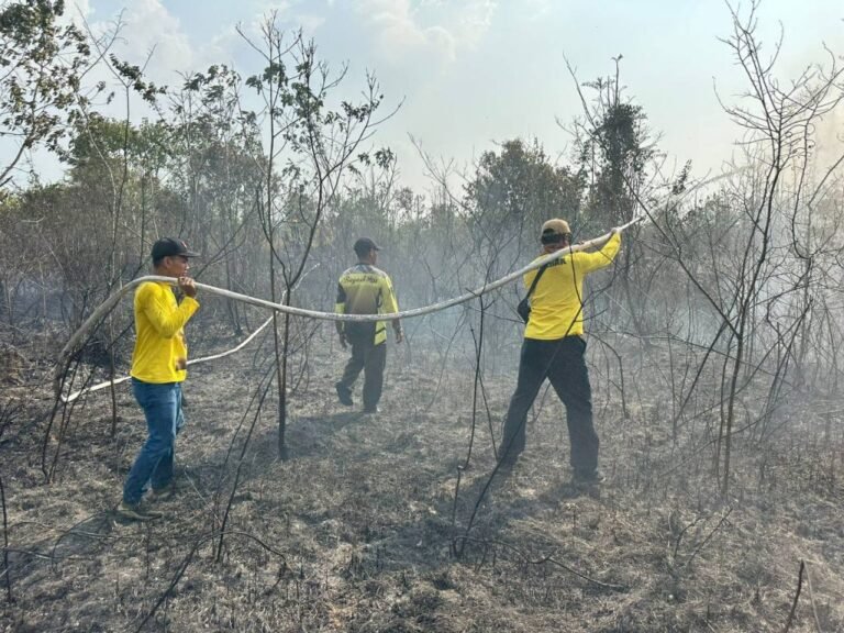 Kebakaran hutan dan lahan (kahutla) (foto : Diskominfo Kalsel)
