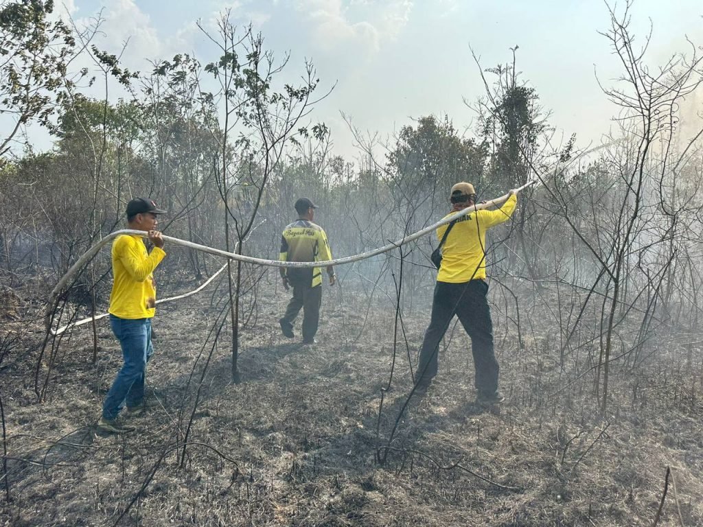 Kebakaran hutan dan lahan (kahutla) (foto : Diskominfo Kalsel)