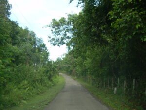 Menuju Hutan Lindung Sungai Wain (HLSW) (foto : the Travelous)