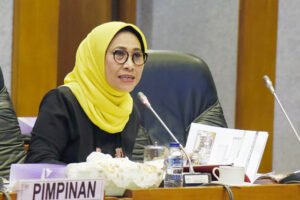 Ketua Komisi X DPR RI, Hetifah Sjaifudian. Foto : Tari/Andri/DPR